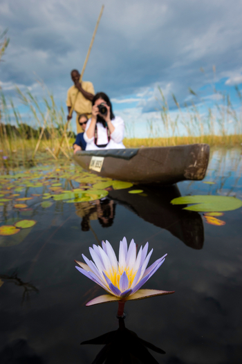 Little Vumbura Camp: Seerose