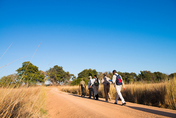 Mukambi Safari Lodge: Geführte Wanderung
