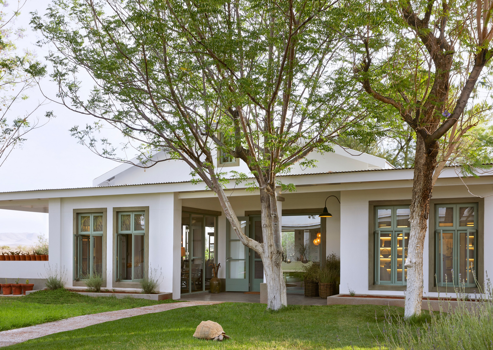 Nooishof Nooishof: Schildkröte im Garten