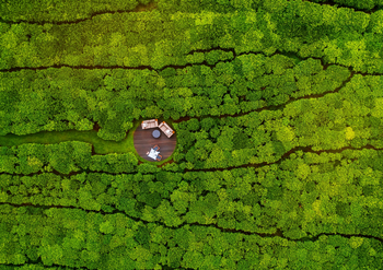 One and Only Nyungwe House: Tea Deck