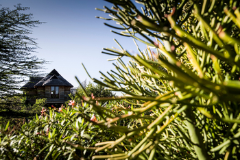 Segera Retreat: Reetgedeckte Villa