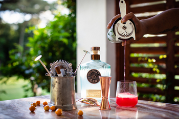 Shebas Secret Garden: Cocktails