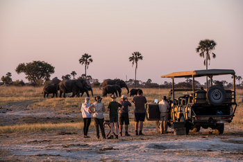 The Hide: Game Drive