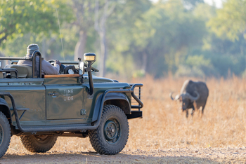 Time + Tide South Luangwa Time + Tide South Luangwa: Game Drives
