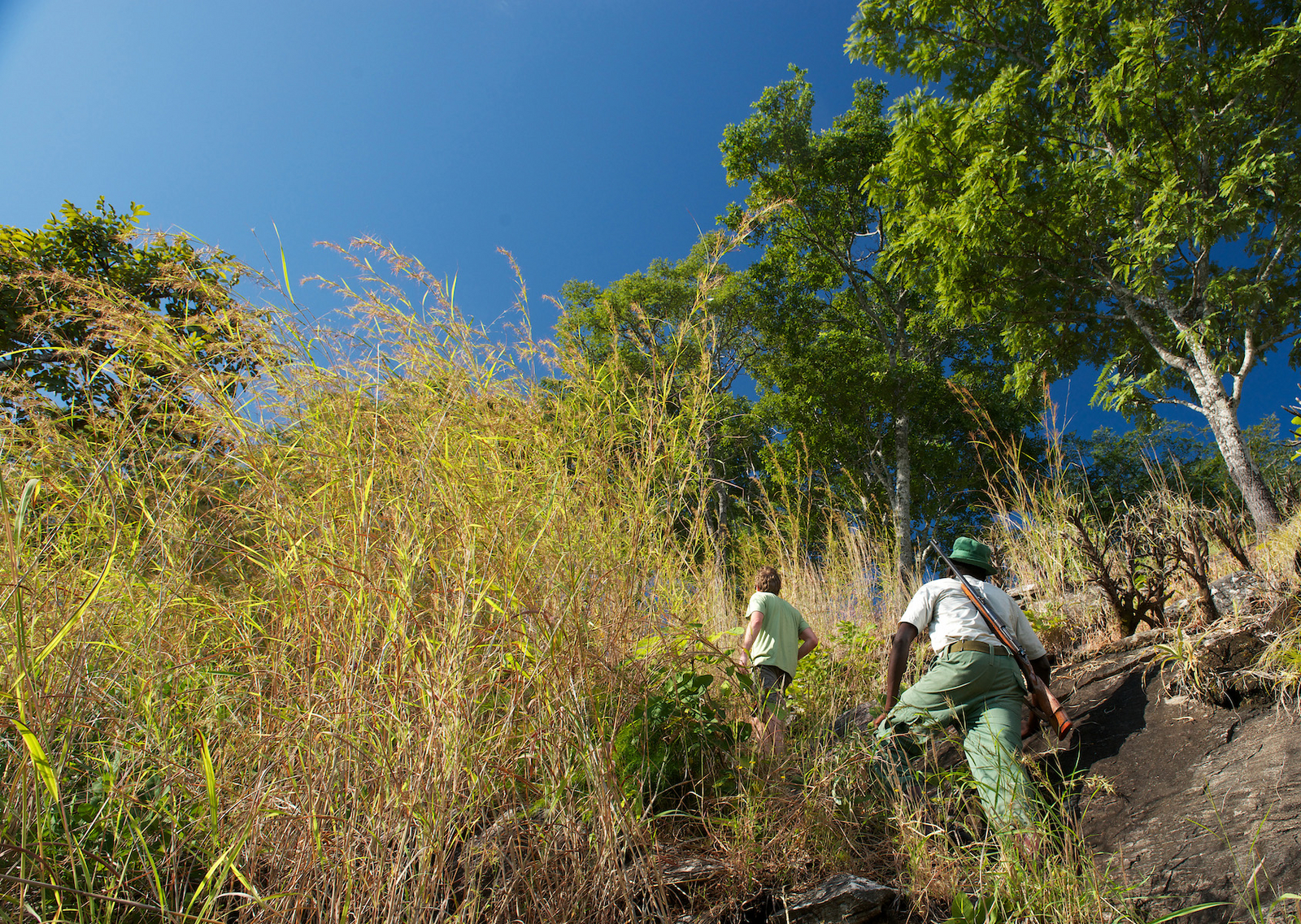 Tongole Wilderness Lodge Tongole Wilderness Lodge