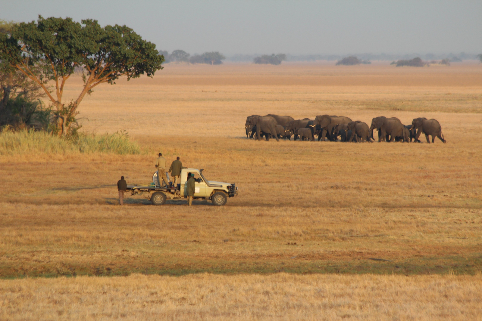 Ballonfahrt Busanga Plains Ballonfahrt Busanga Plains
