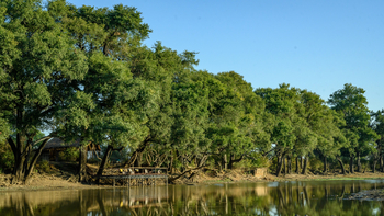 Big Lagoon Camp: Lage unter Bäumen