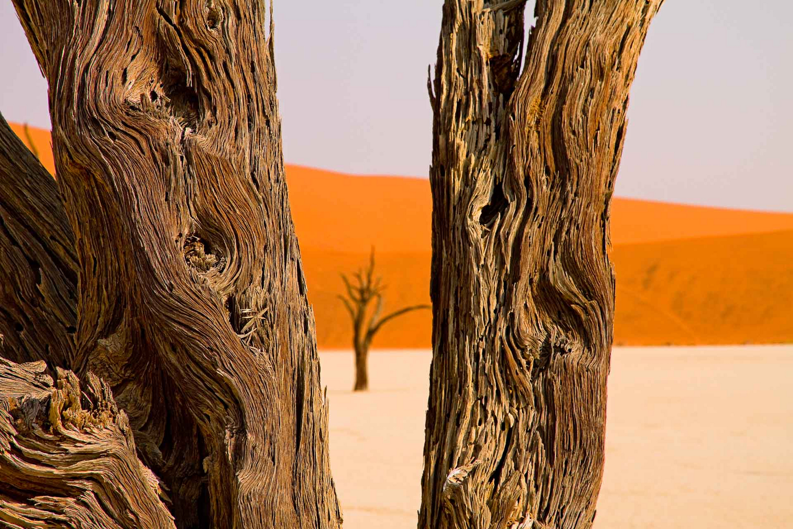 Desert Homestead Lodge Desert Homestead Lodge: Ausflug ins Sossusvlei