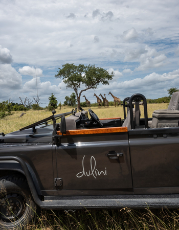 Dulini River: Game Drive Vehicle und Giraffen