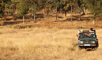Forsyth Lodge Forsyth Lodge: Game Drive