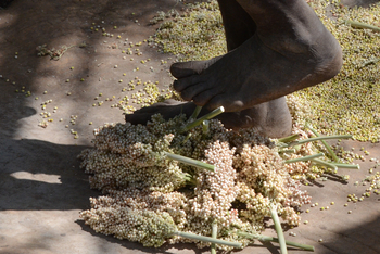 Lale's Camp: Stammeskultur - Mursi