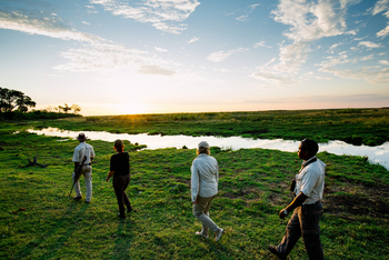 Linyanti Expeditions: Walking Safari am Rand der Sümpfe
