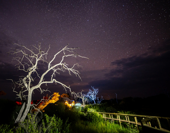 Mangwane Hideaway: Viewing Deck