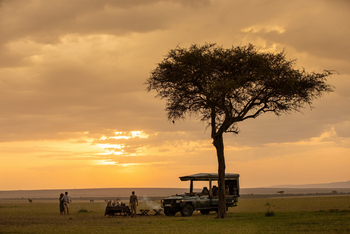Mara Plains Camp: Küche