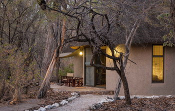 Onguma Forest Camp: Explorer Bungalows