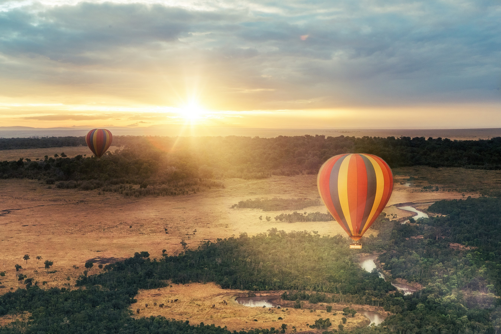 Serengeti Mara River Camp Serengeti Mara River Camp: Hot Air Balloons