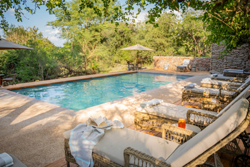 Thornybush Game Lodge: Swimming Pool