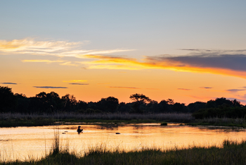 4 Rivers Camp 4 Rivers Camp: Nilpferd in Lagune