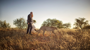 Bagatelle Kalahari Game Ranch: Brautleute mit Gepard
