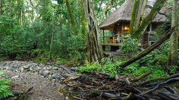 Koroi Forest Camp: Exterior Gästezelt