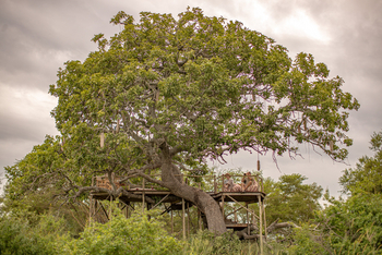 Kuro Tarangire Camp: Gäste auf der Aussichtsplattform