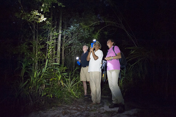 Masoala Forest Lodge: Nachts im Wald