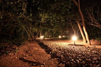 Mbali Mbali Gombe Lodge: Beleuchtete Pfade im Camp