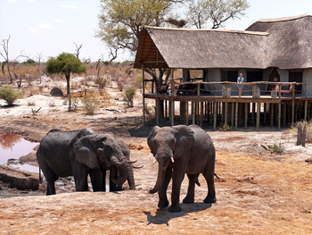 Motswiri Hideaway: Elefantenbesuch