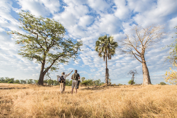 Mvuu Lodge: Walking Safari