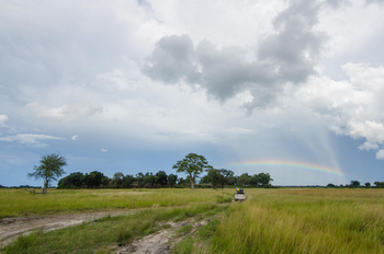 Nambwa Tented Lodge: Bauminsel der Lodge
