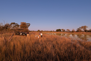 Okavango Explorers Camp Okavango Explorers Camp: Privater Sundowner