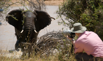 Ol Malo Lodge: Elefantenbulle