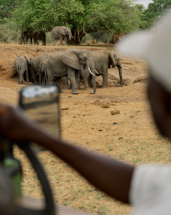 Olkeri Camp: Elefanten am Wasserloch