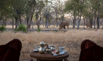 Onguma Forest Camp: Zentralbereich