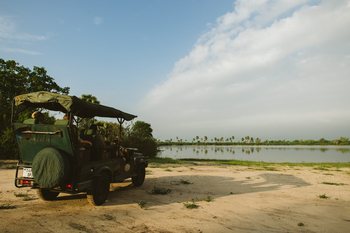 Rufiji River Camp: Safari