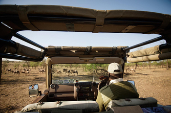 Serian Serengeti Mobile Kusini Camp: Game Drive