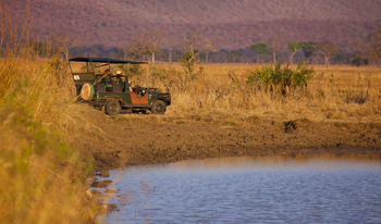 Stanley's Kopje Camp: Safari