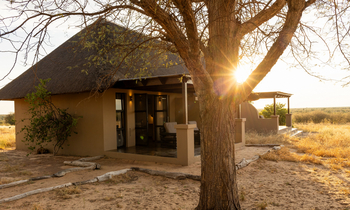 The Dune Camp: Chalet außen