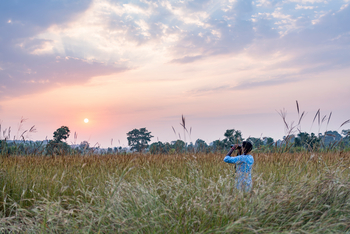 Treehouse Hideaway: Buschwanderung