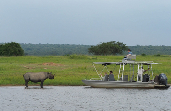 Wilderness Magashi Peninsula: Nashorn am Ufer