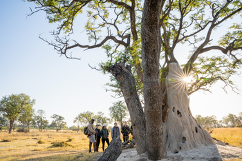 4 Rivers Camp 4 Rivers Camp: Walking Safari