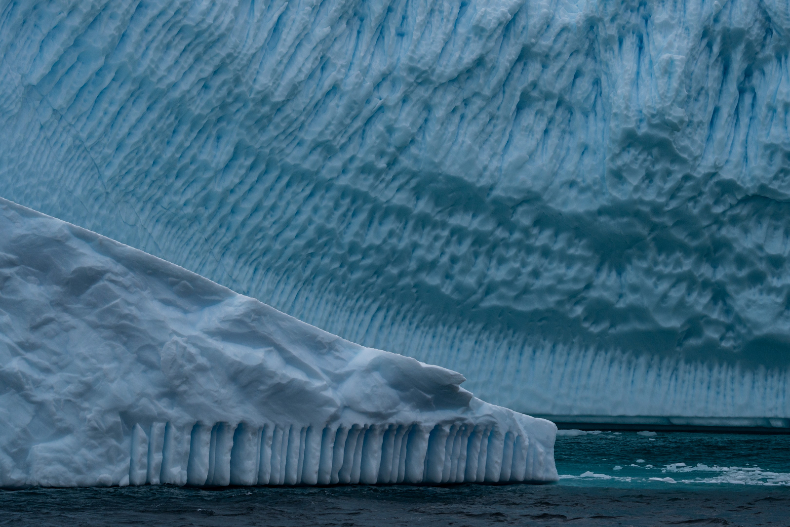 Antarctica21 Antarctica21