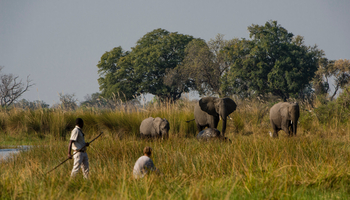Duke's East Duke's East: Mokoroausflug