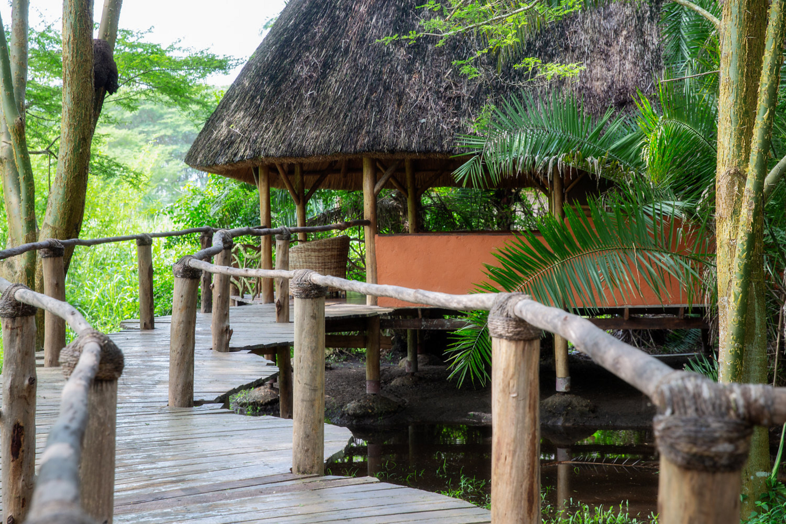 Enjojo Lodge Enjojo Lodge: Steg zum Chalet