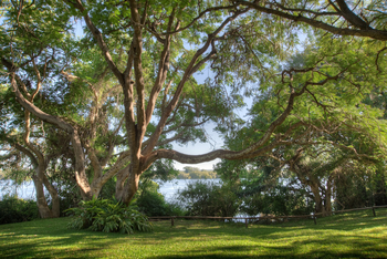 Kubu Lodge: Blick in den Garten