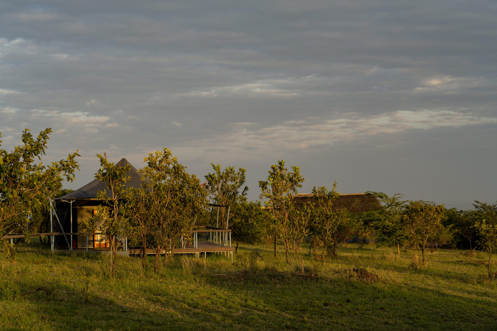 Mara Mara Tented Lodge Mara Mara Tented Lodge: Gelände der Lodge