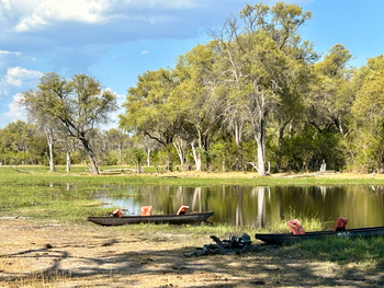 MmaTsebe Tented Camp: Mekoro
