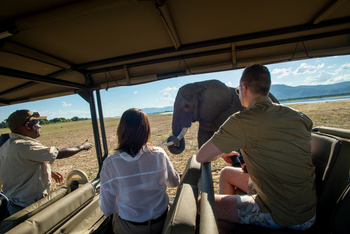Nyamatusi Camp Nyamatusi Camp: Elefant nah