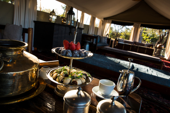 Okavango Explorers Camp Okavango Explorers Camp: High Tea