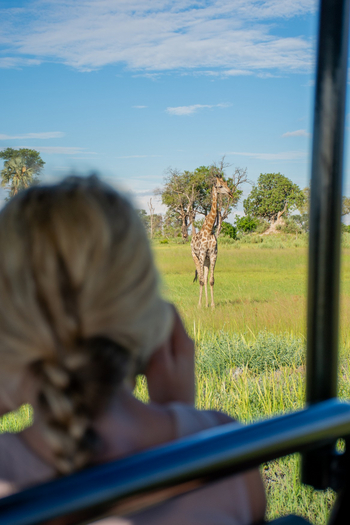 Pom Pom Camp: Giraffe